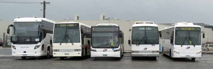 Warragul Scania 2036AO, Latrobe Hino RG230K Starliner Austral Pacific 61, ABM 53. Volvo B8RLE Volgren Optimus 108 and Iveco Delta C260 Express 9